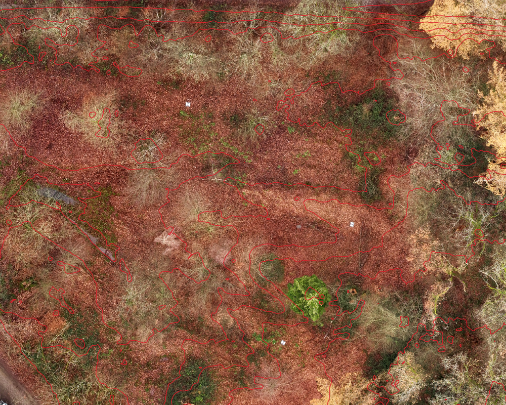 Luftinspektionen Westerwald Multispektralanalyse NDVI Luftinspektionen Westerwald Multispektralanalyse NDVI